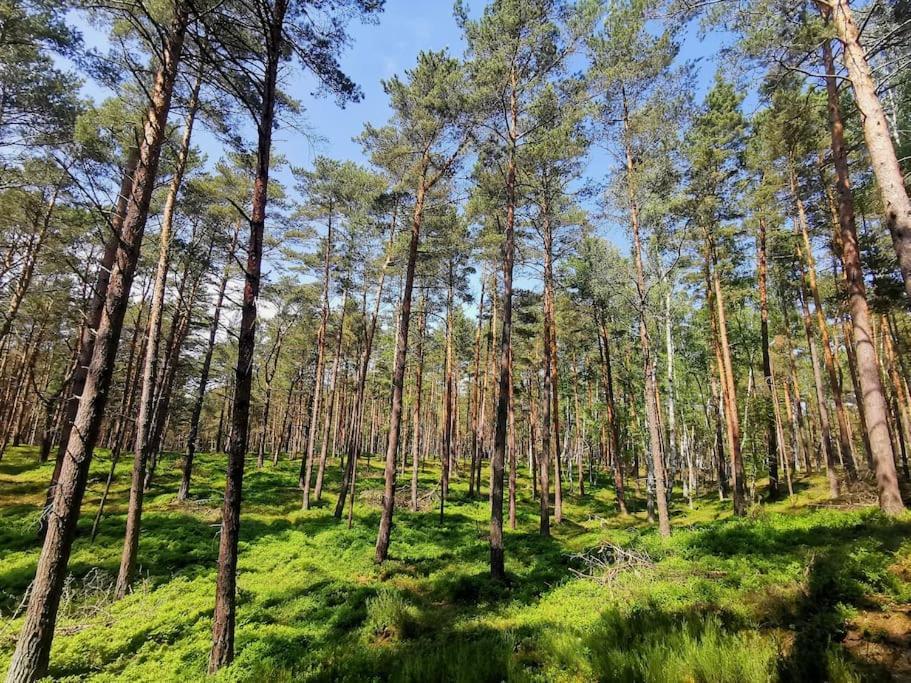Campolohel- Przyczepa Kempingowa Hel Exterior foto
